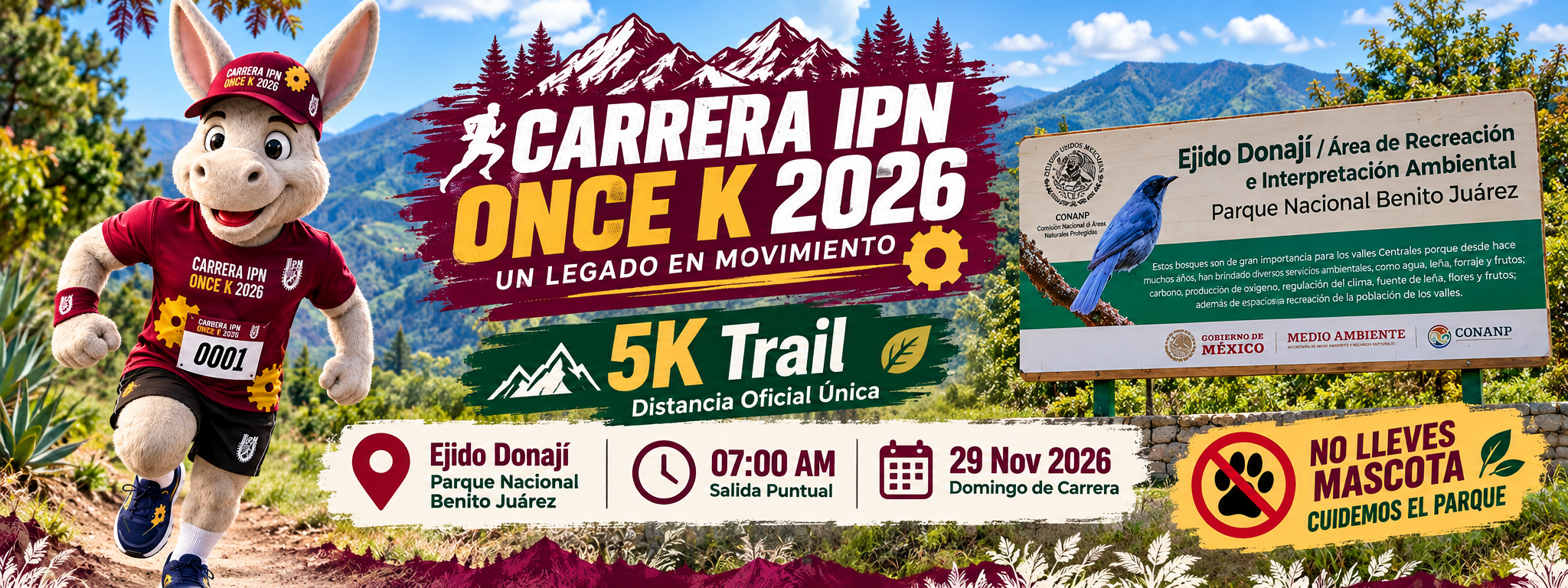 Carrera IPN ONCE K 2026
